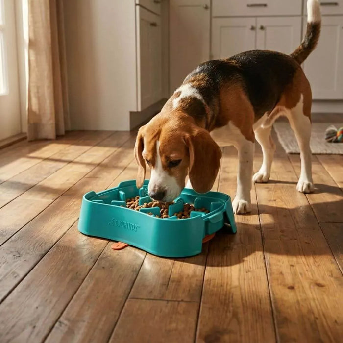 COMFORTABLE FOOD ACCESS