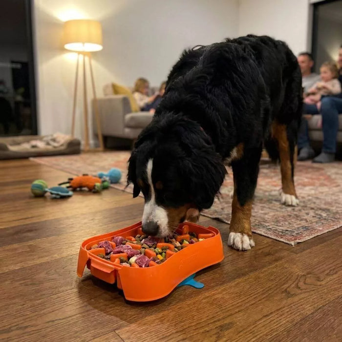 Slow Feeder Dog Bowl