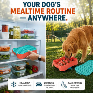 Dog eating from a Super Feedy slow feeder bowl outdoors, showing mealtime routine anywhere