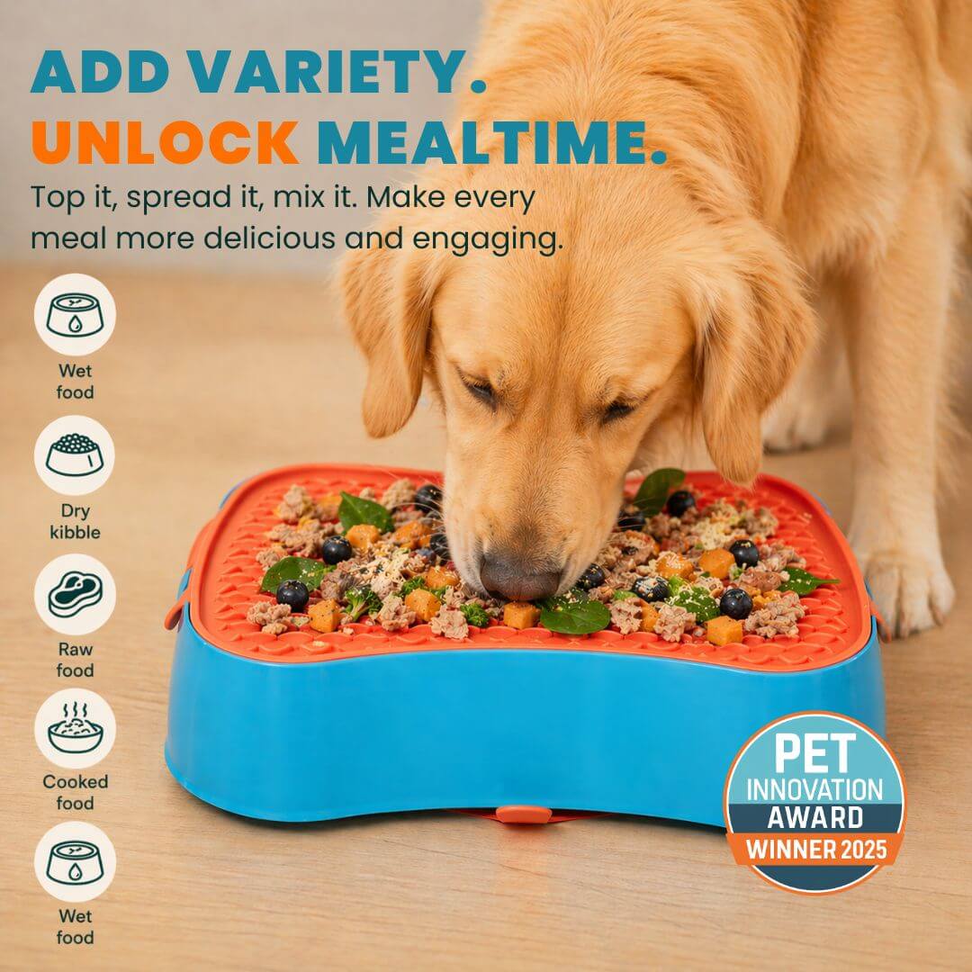 Dog using lick mat slow feeder with wet dry and raw food for enrichment and longer feeding time