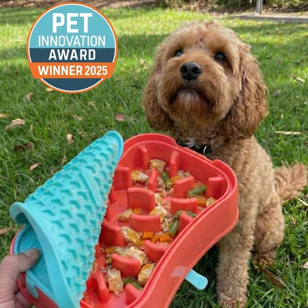 Dog eating from Super Feedy slow feeder