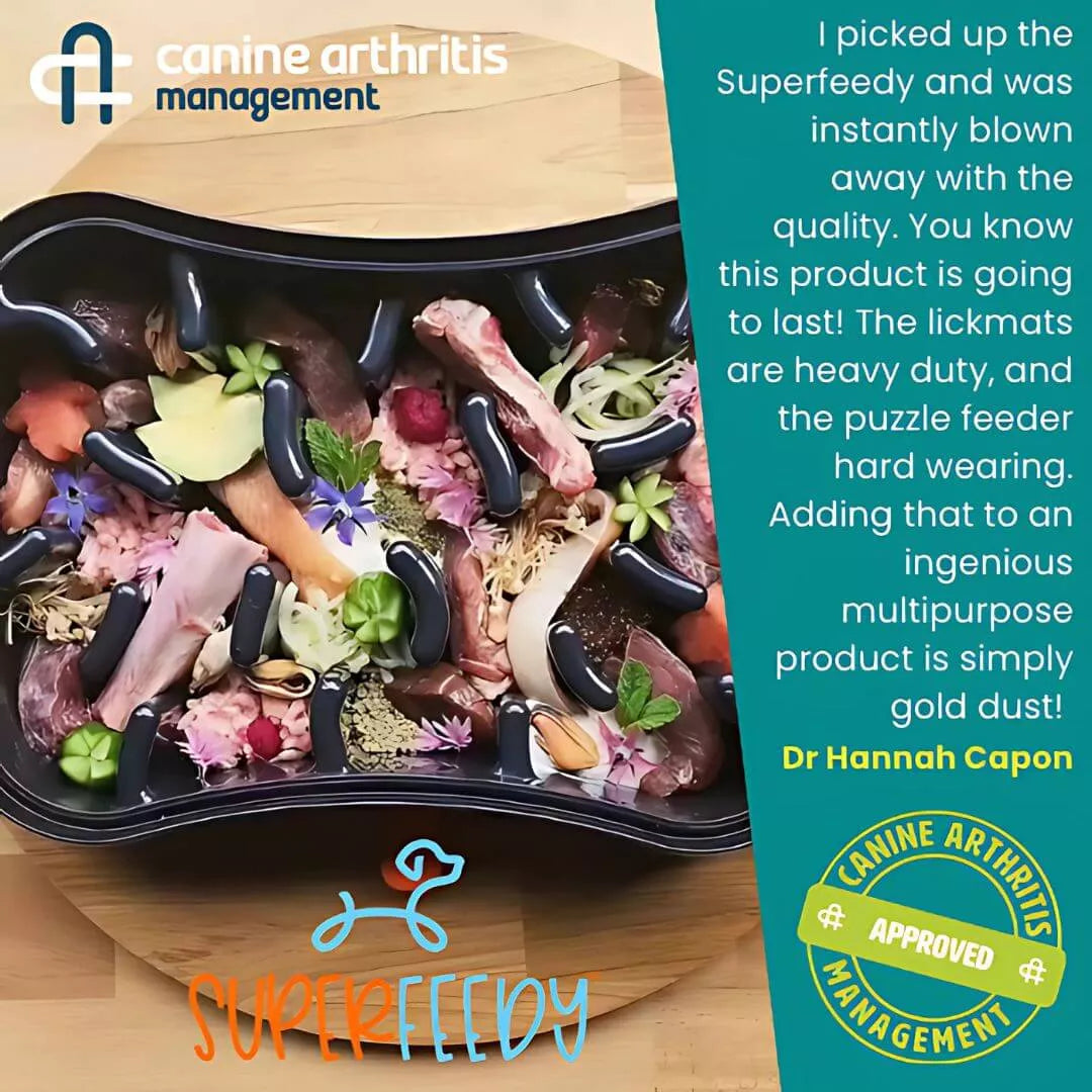 Dr Hannah Capon testimonial for Super Feedy 4-in-1 slow feeding system and Canine Arthritis Management