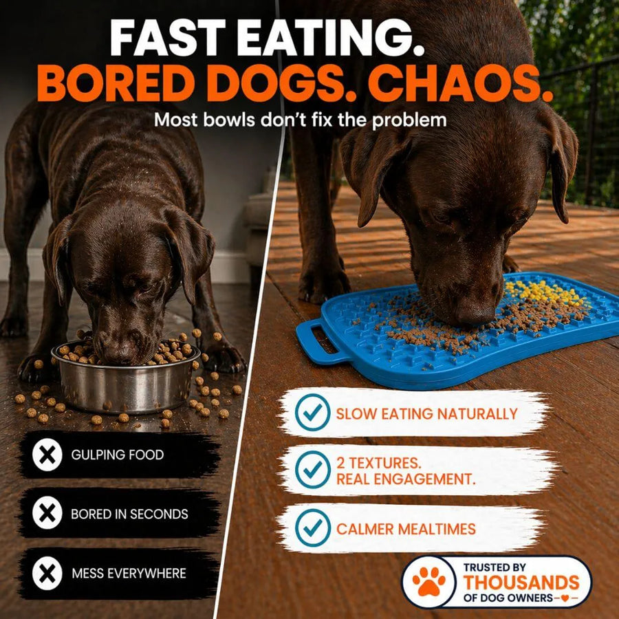 Reversible Dog Lick Mat | Super Feedy