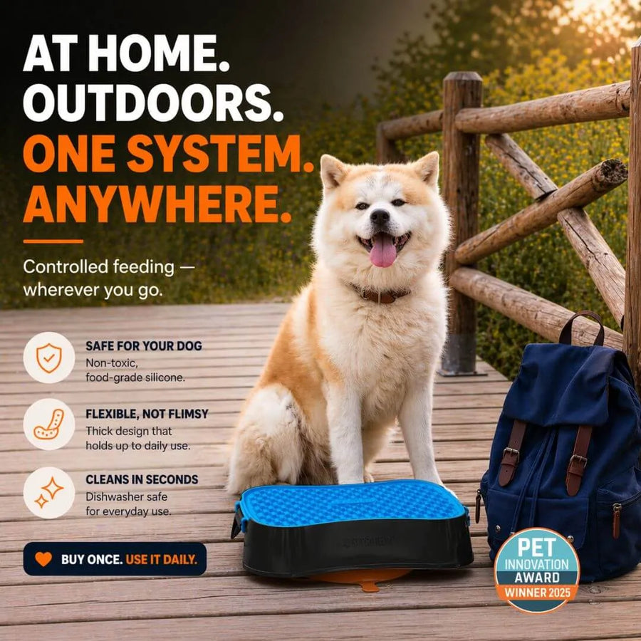 Reversible Dog Lick Mat | Super Feedy