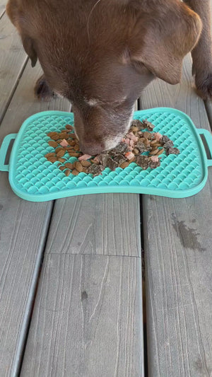 Reversible Dog Lick Mat for Small Dogs | Super Feedy