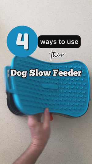 Super Feedy 4-in-1 Slow Feeder Dog Bowl System