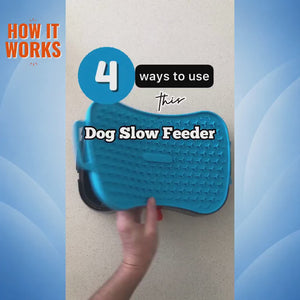 4-in-1 Slow Feeding System | Super Feedy