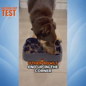 4-in-1 Slow Feeder Dog Bowl System | Super Feedy