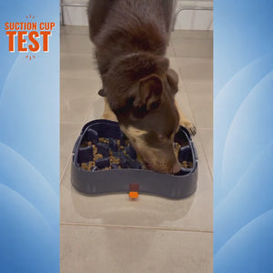 4-in-1 Slow Feeding System for Small Dogs | Super Feedy