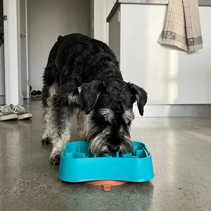 Slow Feeder Dog Bowl