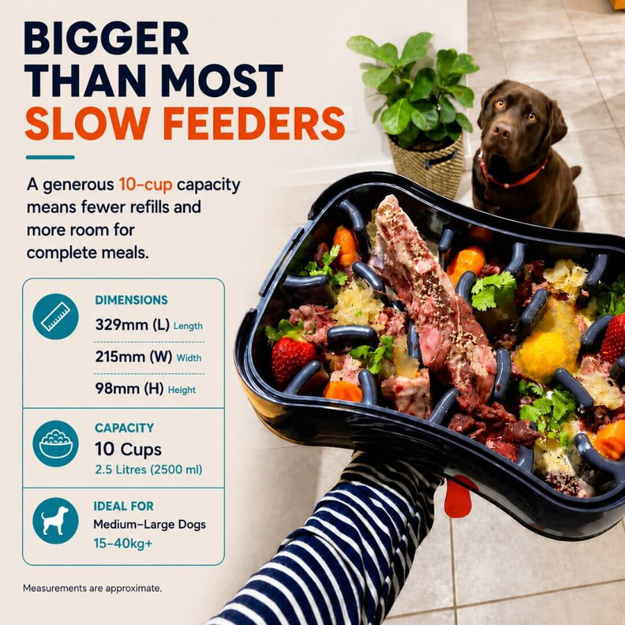 Size comparison showing the Super Feedy slow feeder holds up to 10 cups for medium to large dogs