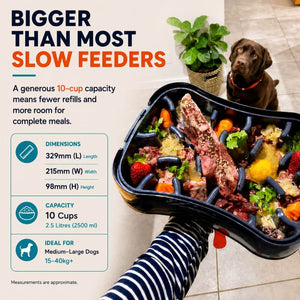 Size comparison showing the Super Feedy slow feeder holds up to 10 cups for medium to large dogs