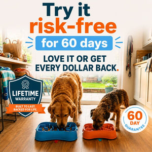 Dog beside a Super Feedy slow feeder bowl with 60-day risk-free trial and lifetime guarantee