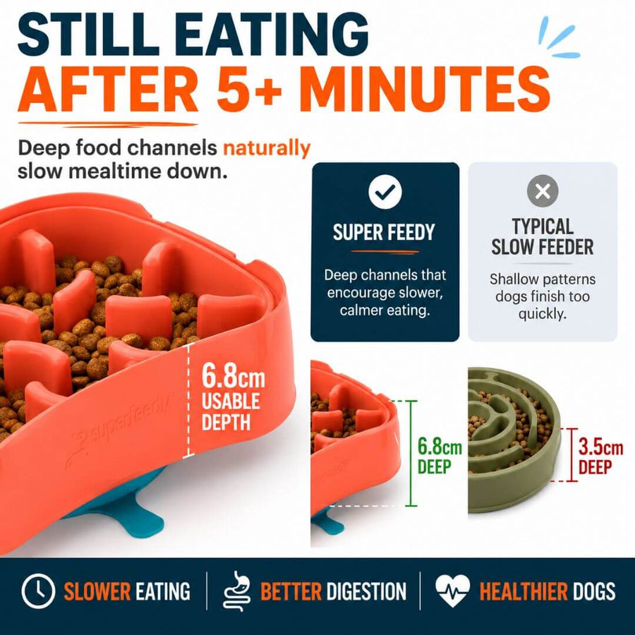 Dog surrounded by multiple single-use dog bowls the Super Feedy 4-in-1 system replaces