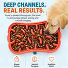 Cutaway of the Super Feedy slow feeder showing its deep maze channels and bowl thickness