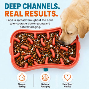 Cutaway of the Super Feedy slow feeder showing its deep maze channels and bowl thickness
