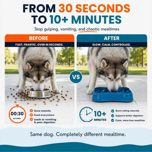 Dog eating fast vs slow feeder bowl comparison showing reduced gulping better digestion and calm mealtime