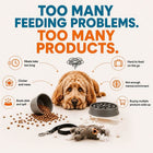 Dog surrounded by multiple single-use dog bowls the Super Feedy 4-in-1 system replaces