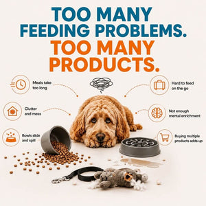 Dog surrounded by multiple single-use dog bowls the Super Feedy 4-in-1 system replaces