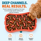 Deep maze channels of the Super Feedy slow feeder dog bowl filled with kibble to slow fast eaters