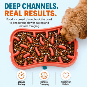 Deep maze channels of the Super Feedy slow feeder dog bowl filled with kibble to slow fast eaters