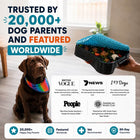 Super Feedy 4-in-1 large slow feeder dog bowl with food, shown with a dog and worldwide media features