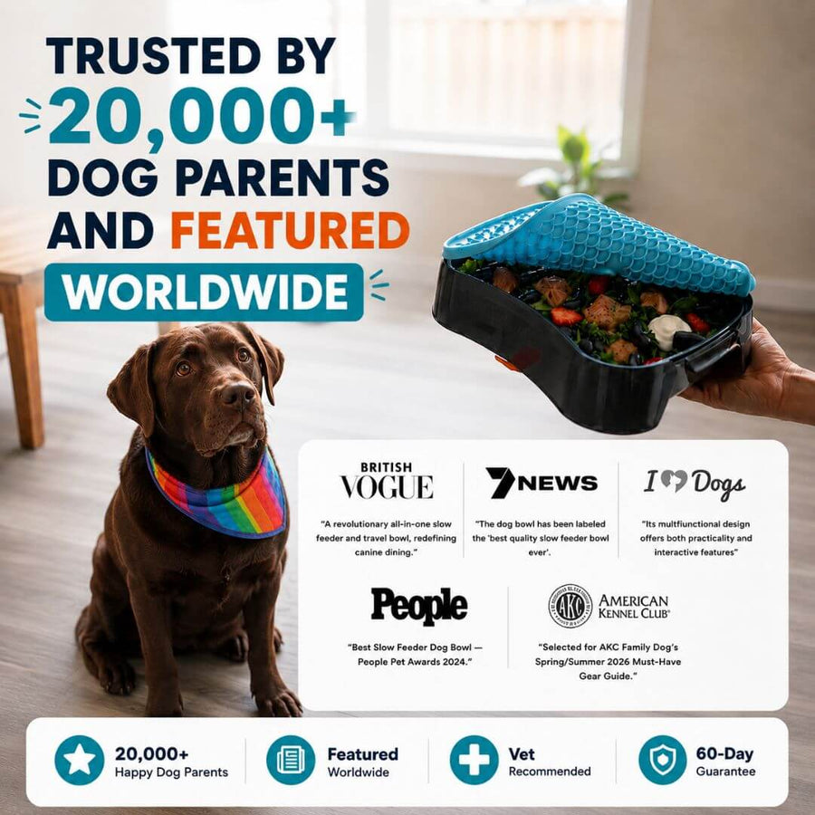 Super Feedy 4-in-1 large slow feeder dog bowl with food, shown with a dog and worldwide media features