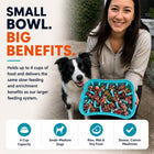 Super Feedy 4-in-1 slow feeder dog bowl for small to medium dogs, holding up to 4 cups of raw, wet or dry food