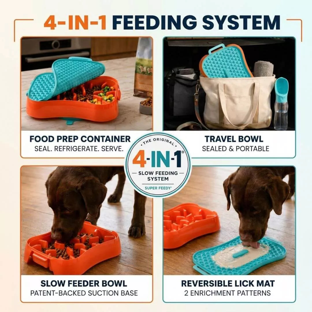 Dog eating from Super Feedy slow feeder