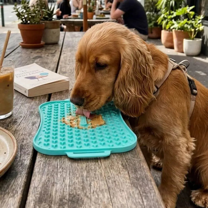 PURPOSE-DESIGNED FOR SMALL DOGS