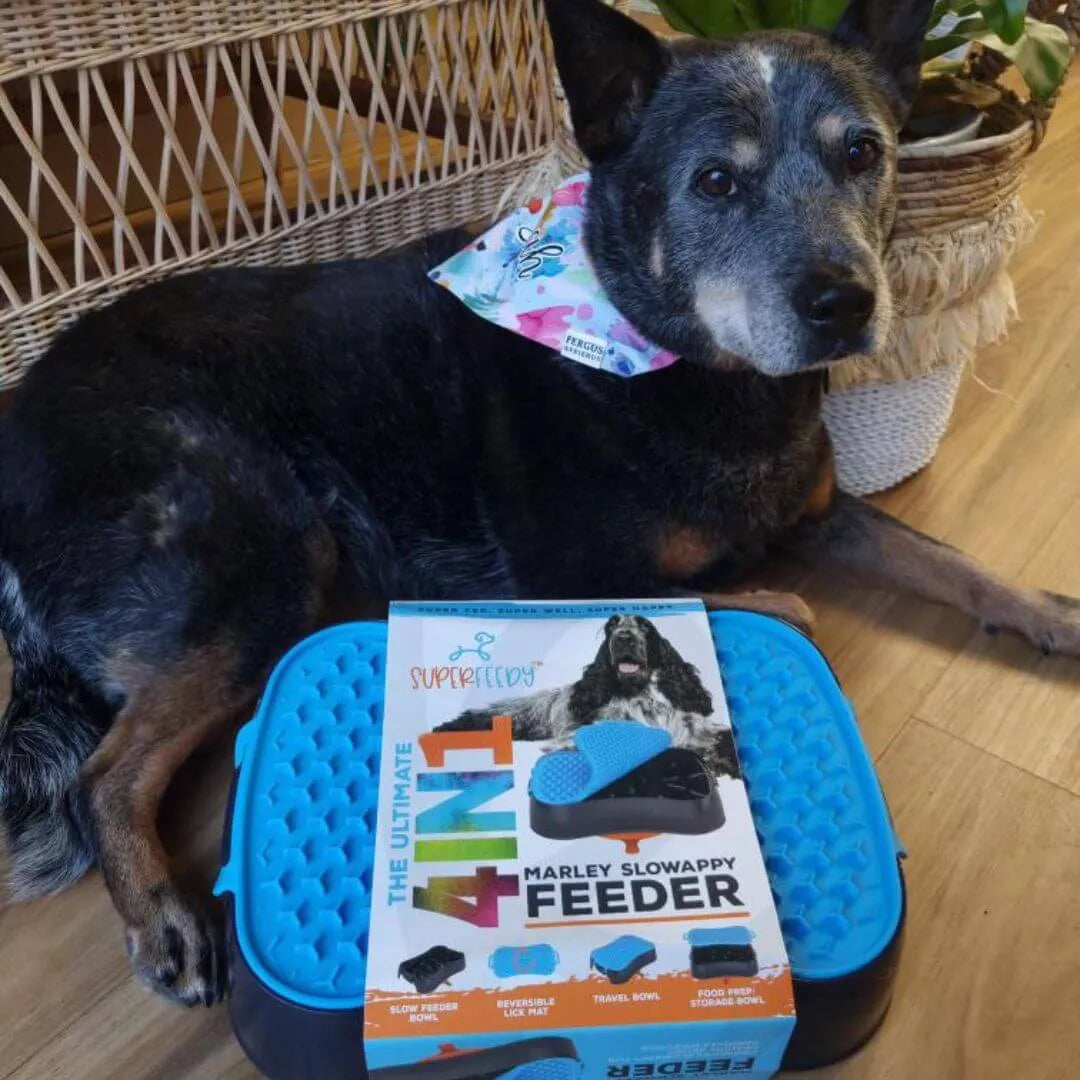 Super Feedy Marley Slowappy 4-in-1 feeder with reversible lick mat and slow feeder bowl