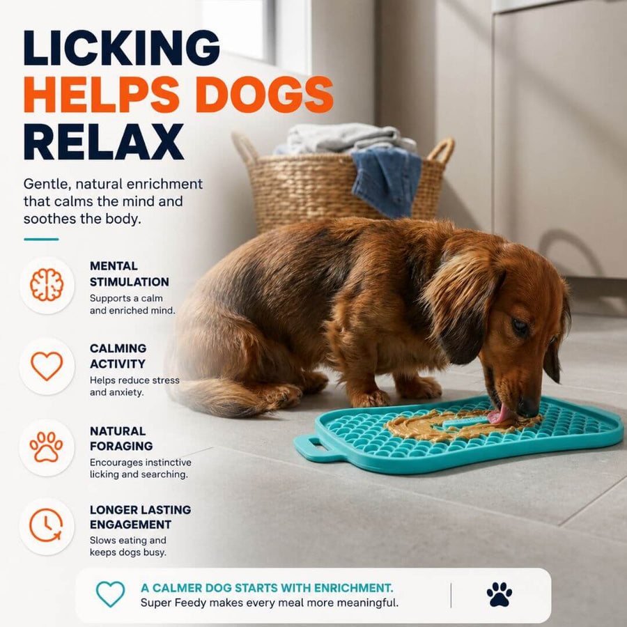 Dog using the Super Feedy reversible lick mat for licking and enrichment