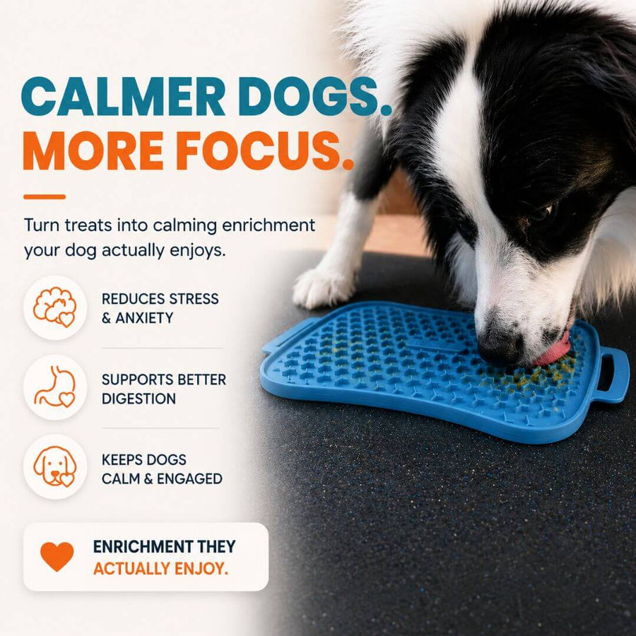 Large dog using the Super Feedy reversible lick mat for enrichment