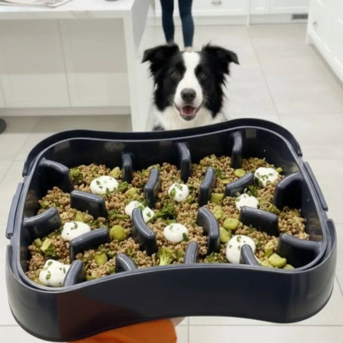 Keeps Dogs Interested