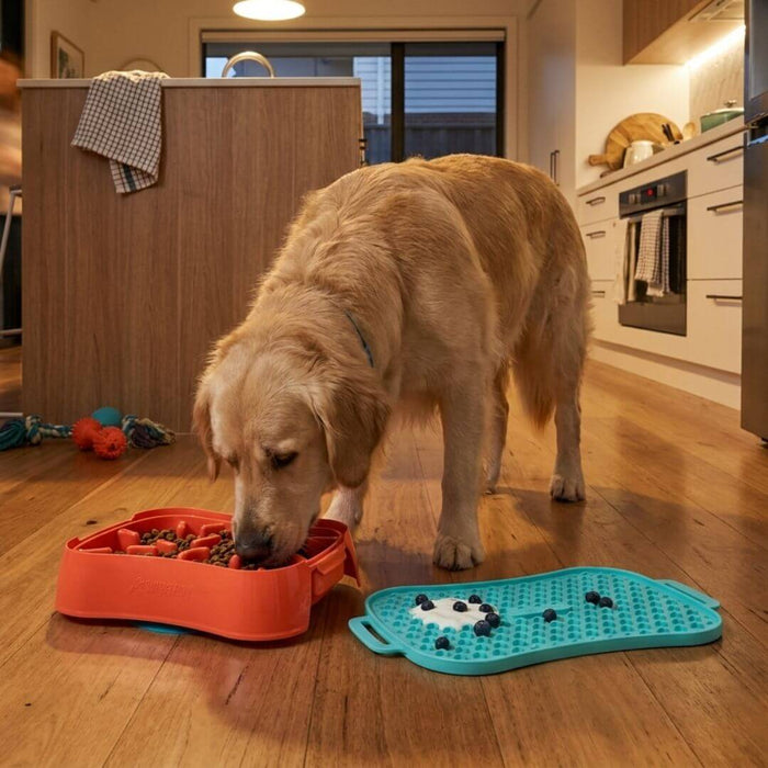 Slow Feeder Dog Bowl