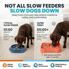 Super Feedy slow feeder dog bowl compared with a typical slow feeder, showing deeper food channels and slower mealtime
