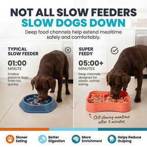 Super Feedy slow feeder dog bowl compared with a typical slow feeder, showing deeper food channels and slower mealtime