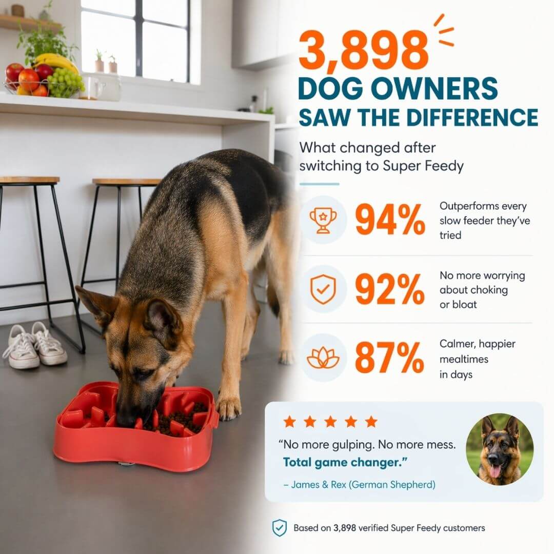Slow feeder dog bowl reducing gulping and choking with real customer results and calmer dog eating