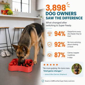 Slow feeder dog bowl reducing gulping and choking with real customer results and calmer dog eating