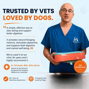Veterinarian holding a Super Feedy slow feeder dog bowl with a recommendation for slower eating and better digestion