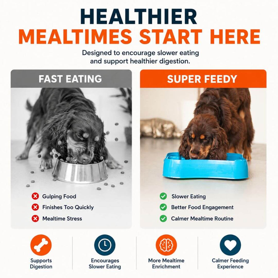 Super Feedy small 4-in-1 slow feeder dog bowl comparison showing fast eating versus slower, more engaging mealtimes