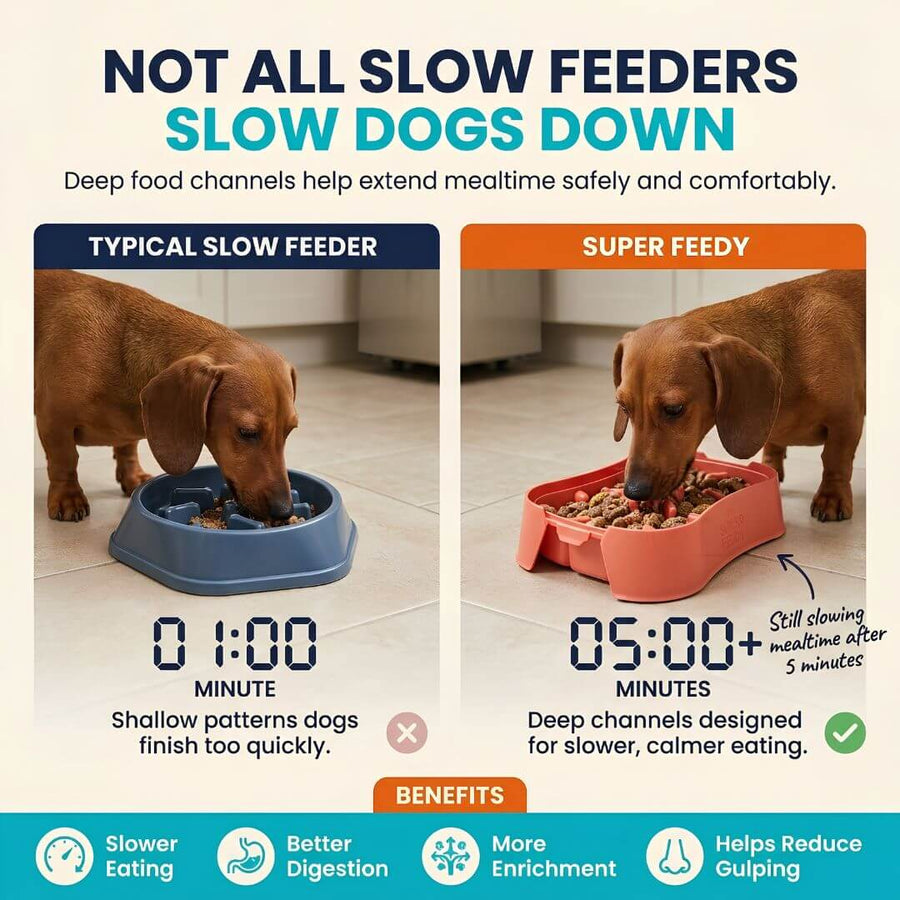 Super Feedy small slow feeder dog bowl compared with a typical slow feeder, showing deeper channels and slower mealtime