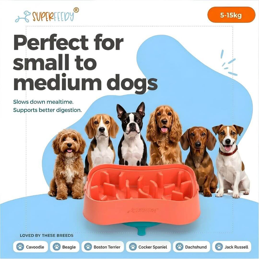Super Feedy small slow feeder dog bowl for small to medium dogs weighing 5–15kg