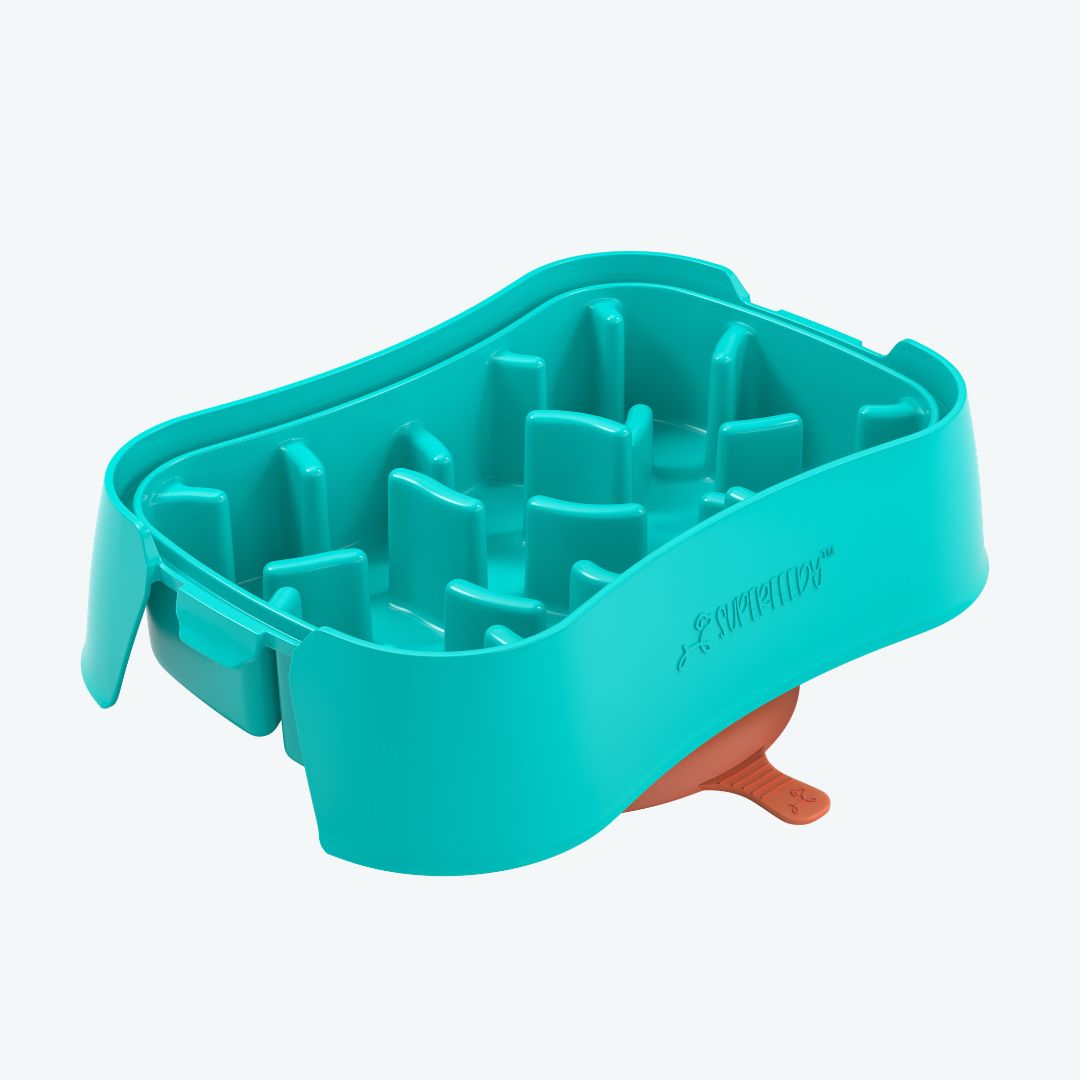 Super Feedy small slow feeder dog bowl in teal with deep maze channels and suction base