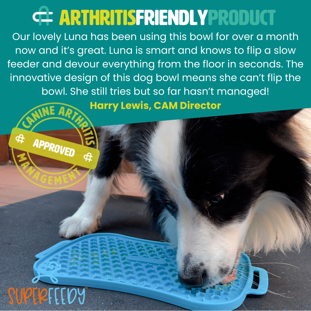 Super Feedy Slow Feed Bowl - Arthritis friendly product