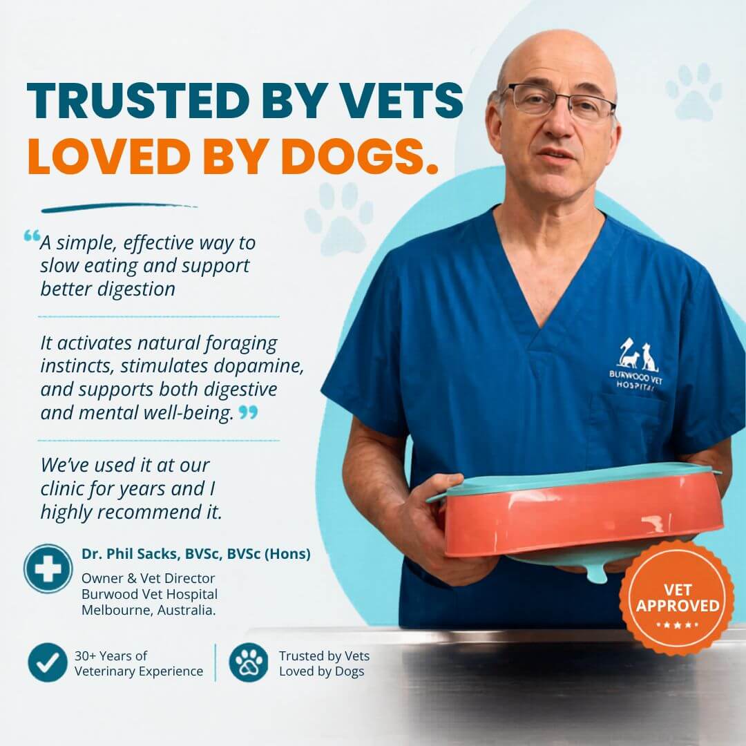 Vet recommended slow feeder dog bowl that helps reduce fast eating and supports healthy digestion in dogs