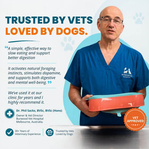 Vet recommended slow feeder dog bowl that helps reduce fast eating and supports healthy digestion in dogs
